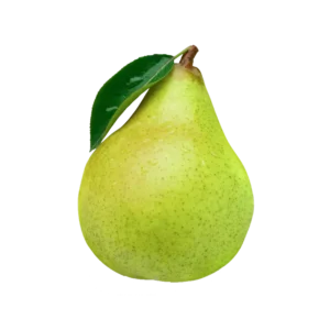 Armut