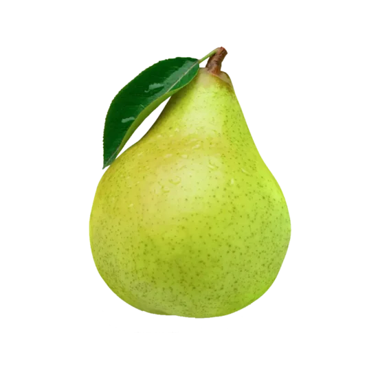Armut