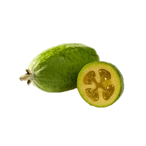 Feijoa