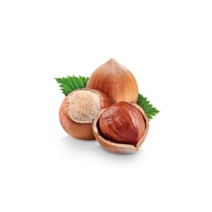 Fındık