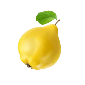 Ayva