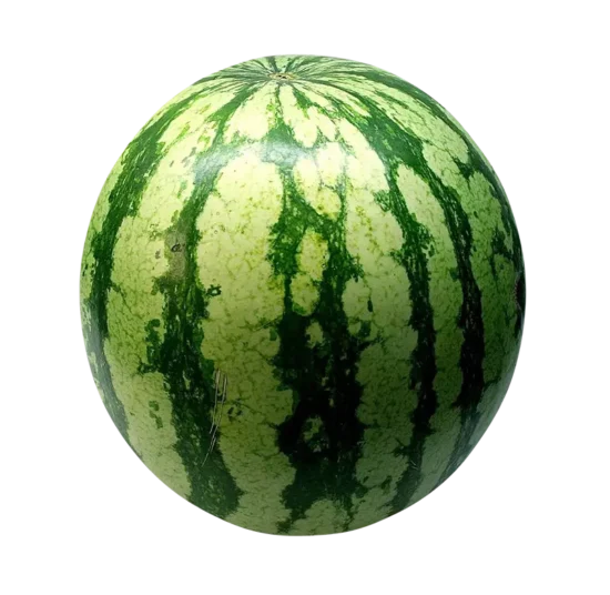 Karpuz