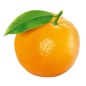 Mandalina