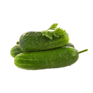 Salatalık