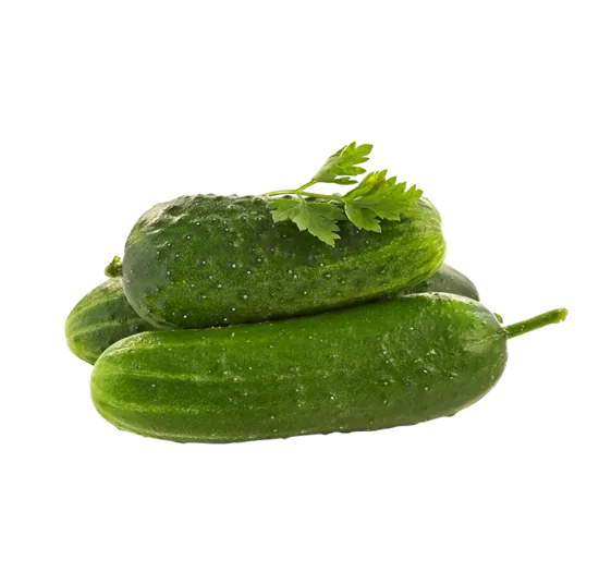 Salatalık