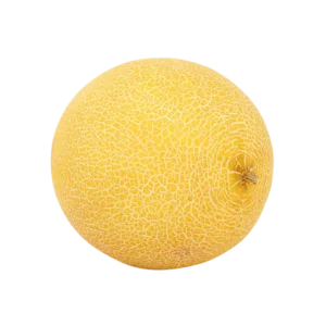 Kavun