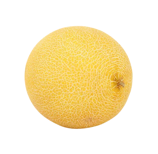 Kavun